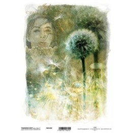 Transferpapier ITD T4044