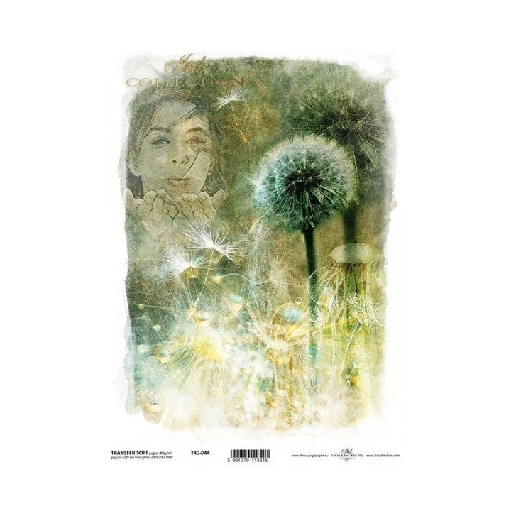 Transferpapier ITD T4044