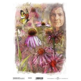 Transferpapier ITD T4045