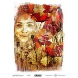 Transferpapier ITD T4047