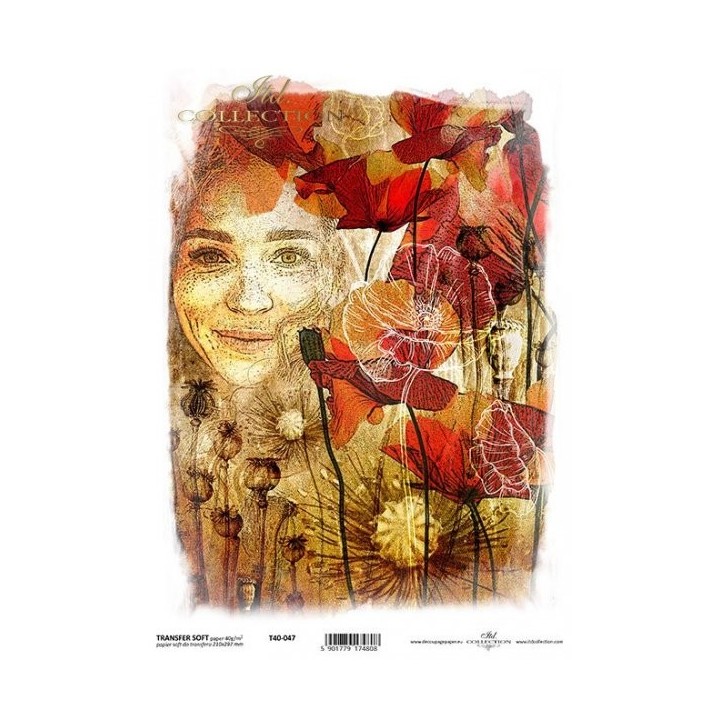 Transferpapier ITD T4047