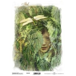 Transferpapier ITD T4049