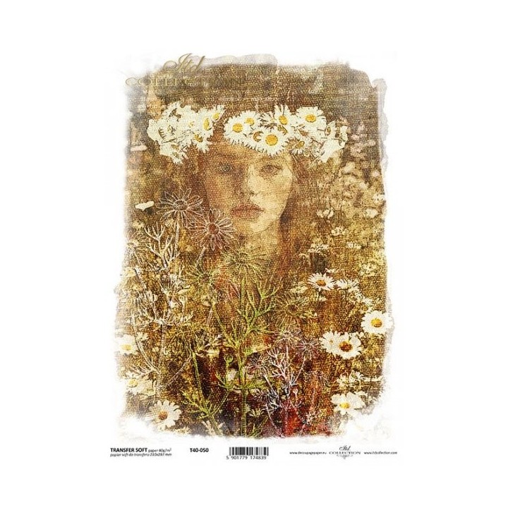 Transferpapier ITD T4050