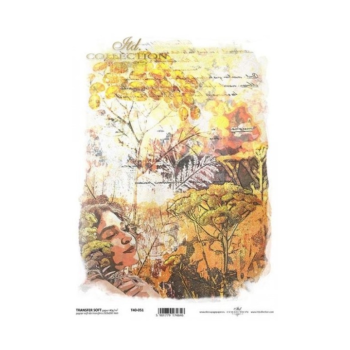 Transferpapier ITD T4051
