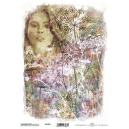 Transferpapier ITD T4053