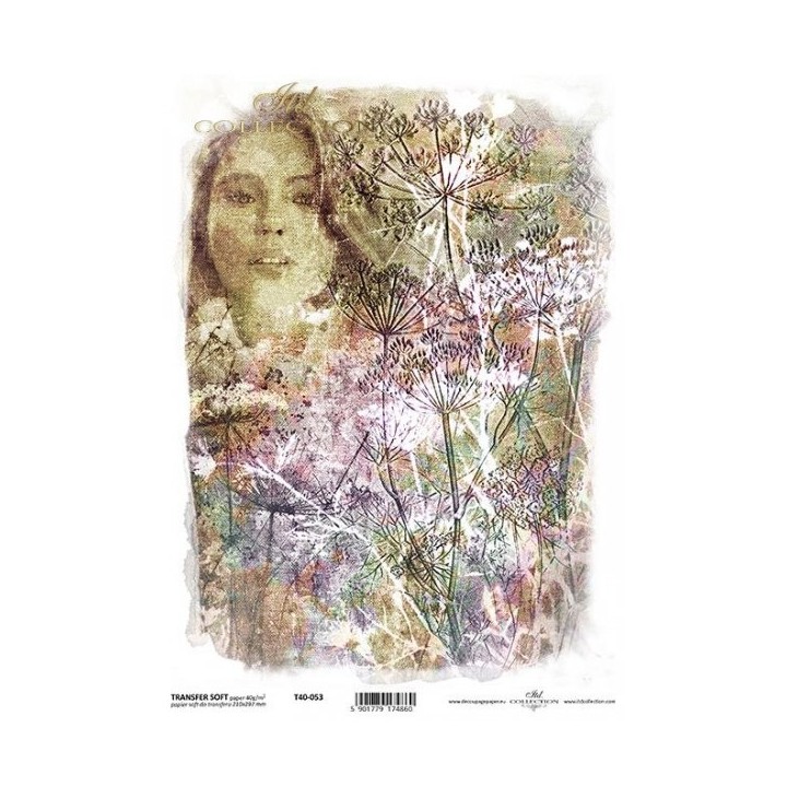 Transferpapier ITD T4053
