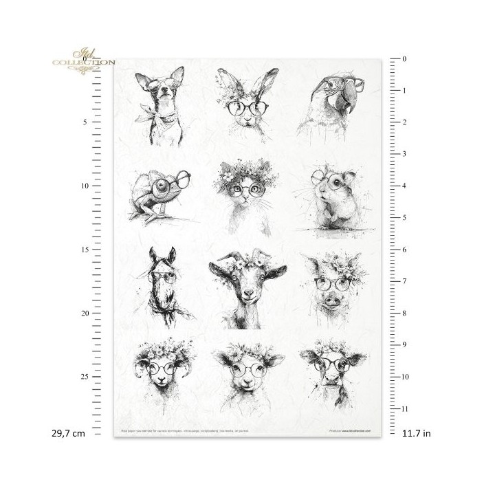 Creatieve set RP102 Gekke dieren