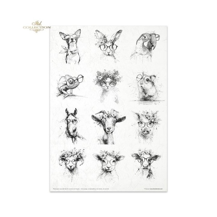 Creatieve set RP102 Gekke dieren