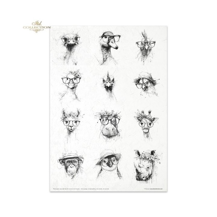 Creatieve set RP102 Gekke dieren