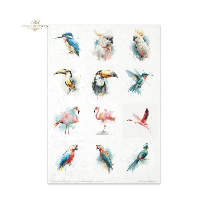 Creatieve set RP106 Tropische dromen deel 2