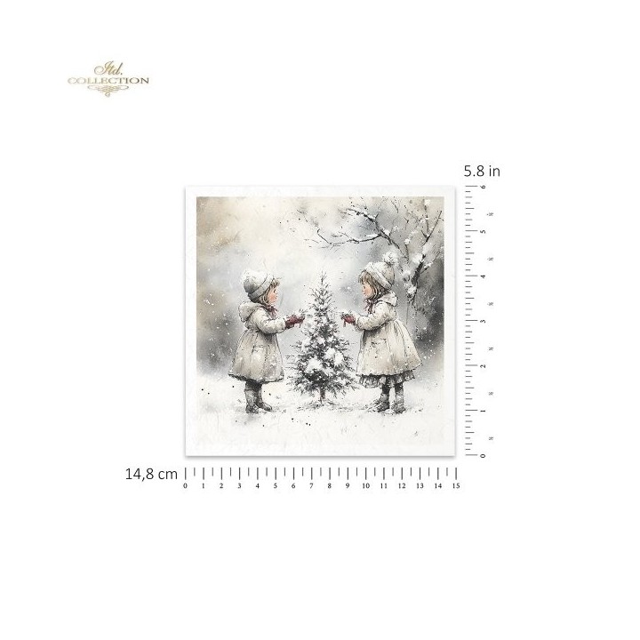 Rijstpapierset RSM201