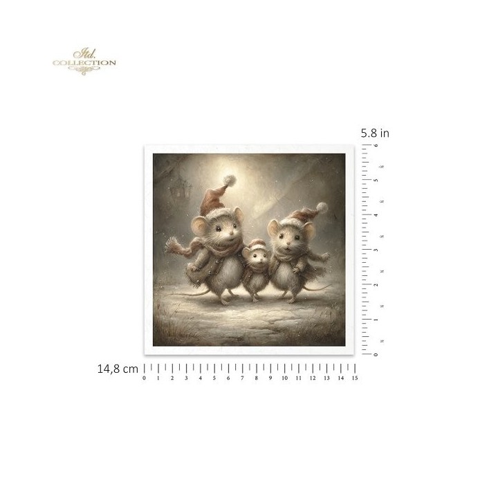 Rijstpapierset RSM214