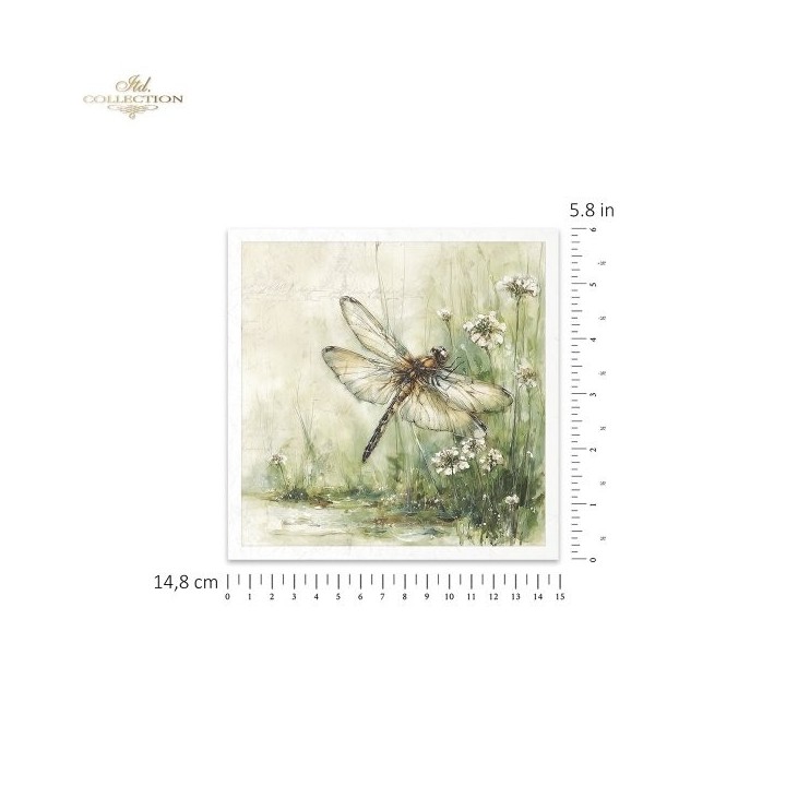 Rijstpapierset RSM223 Four Elements-Earth