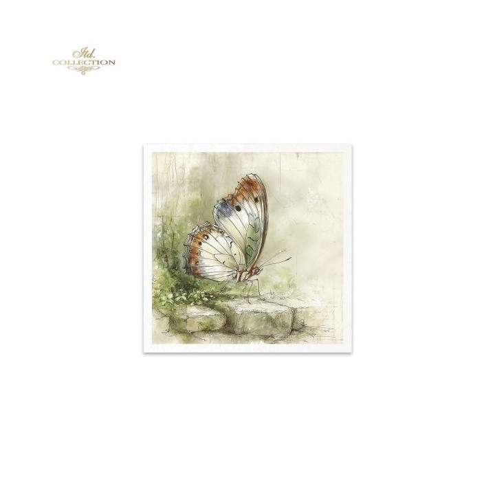 Rijstpapierset RSM223 Four Elements-Earth