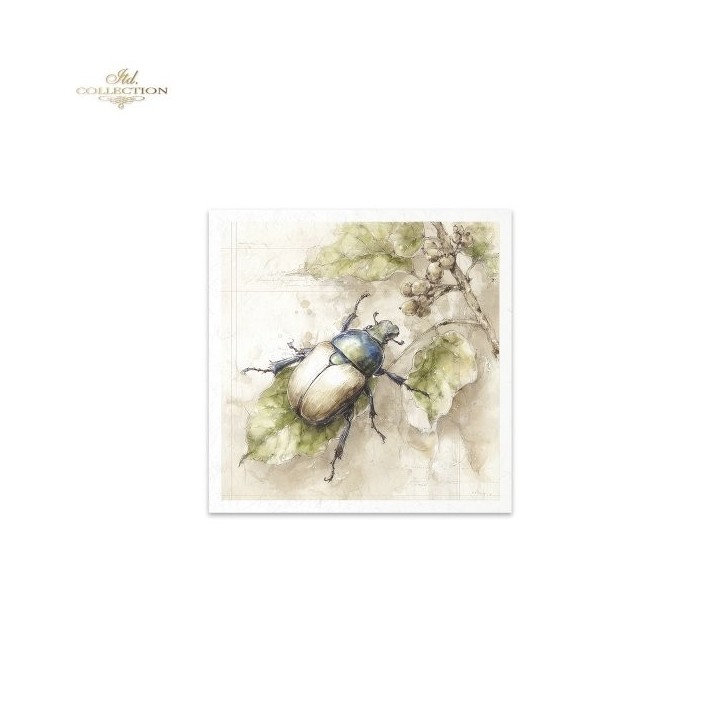 Rijstpapierset RSM223 Four Elements-Earth