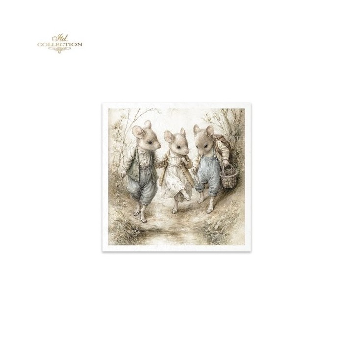 Rijstpapierset RSM232