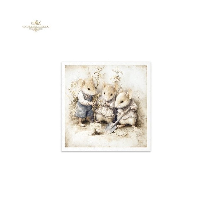 Rijstpapierset RSM234