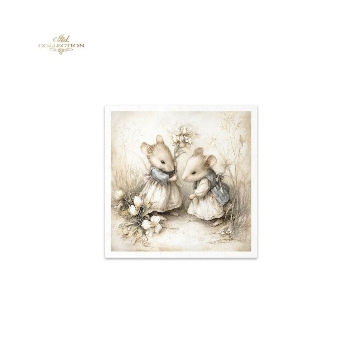 Rijstpapierset RSM236
