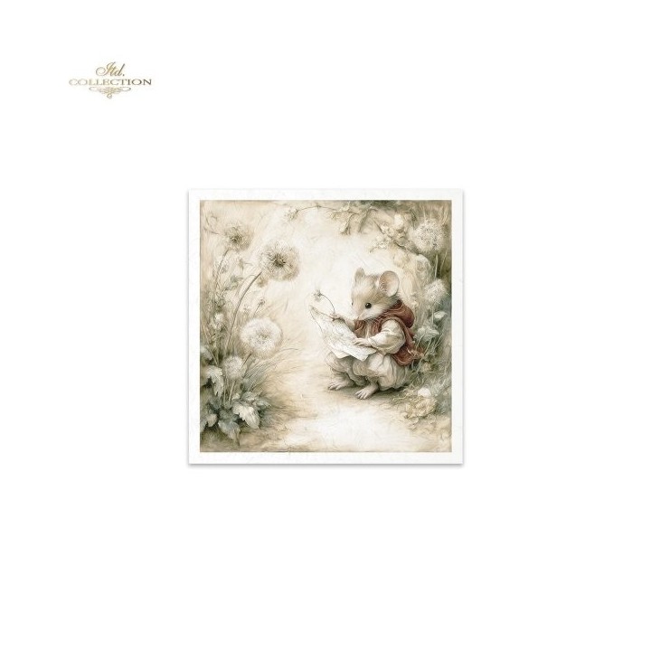 Rijstpapierset RSM237