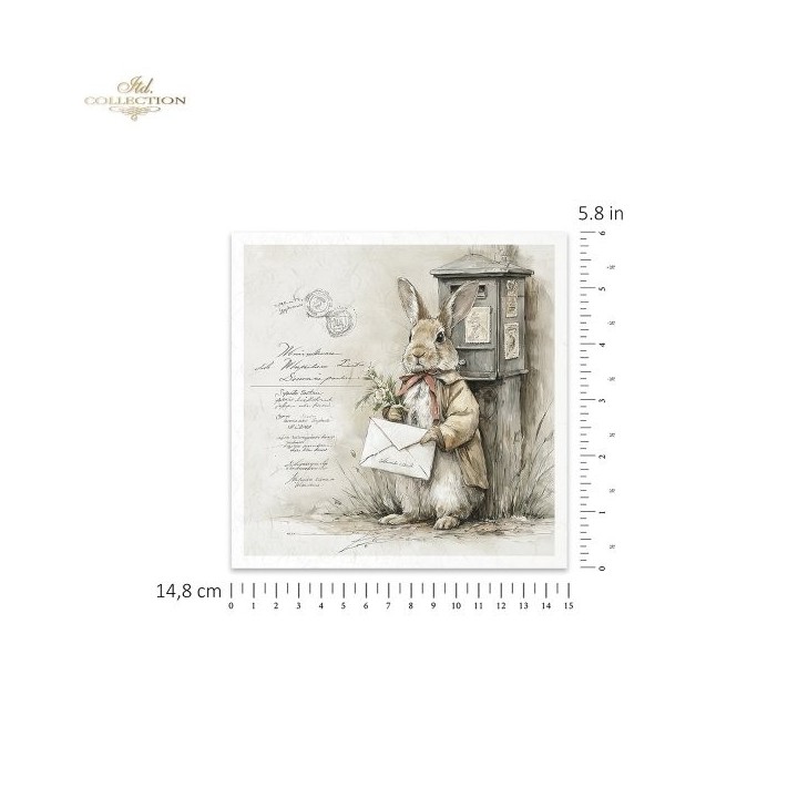Rijstpapierset RSM240