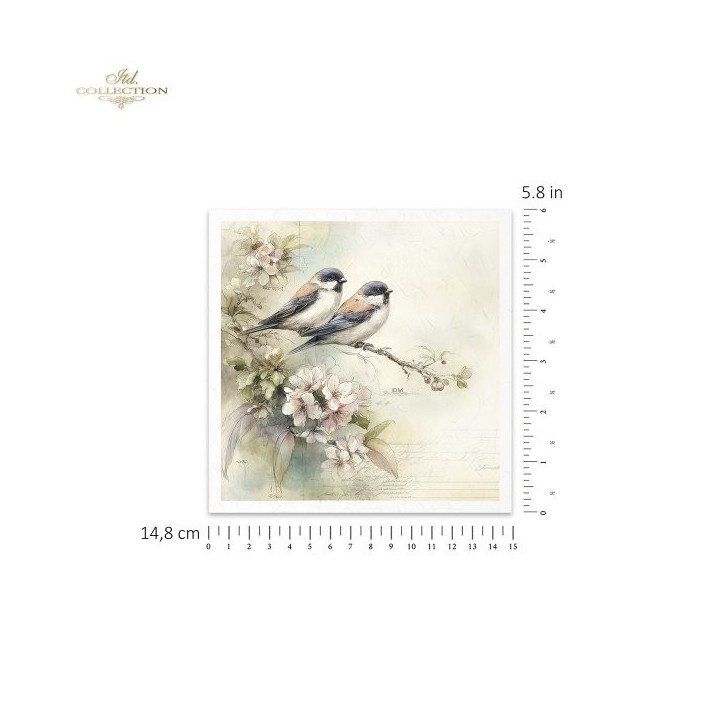 Rijstpapierset RSM246