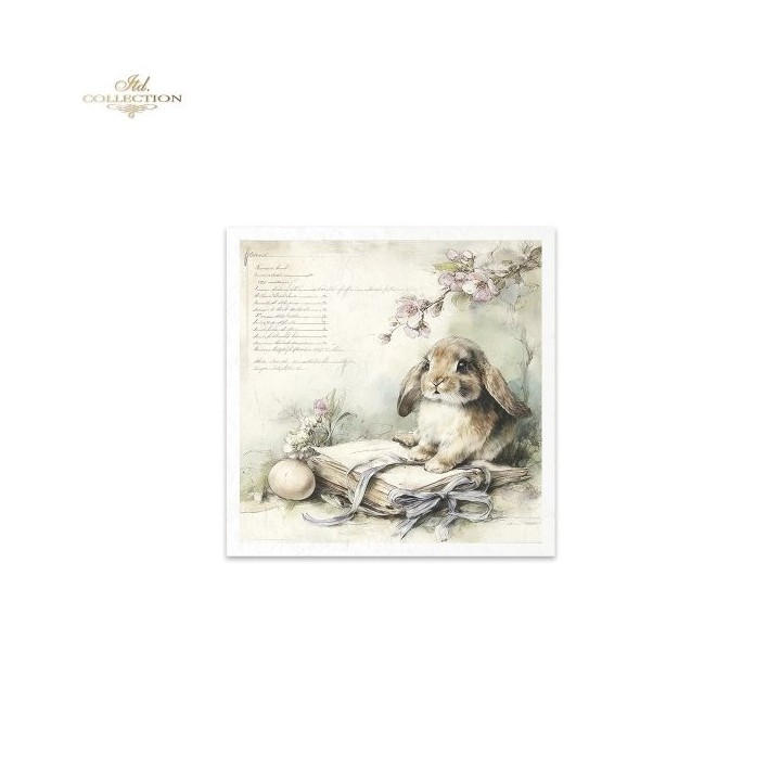 Rijstpapierset RSM245