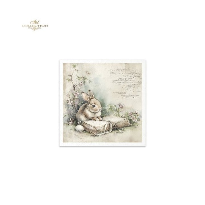 Rijstpapierset RSM245