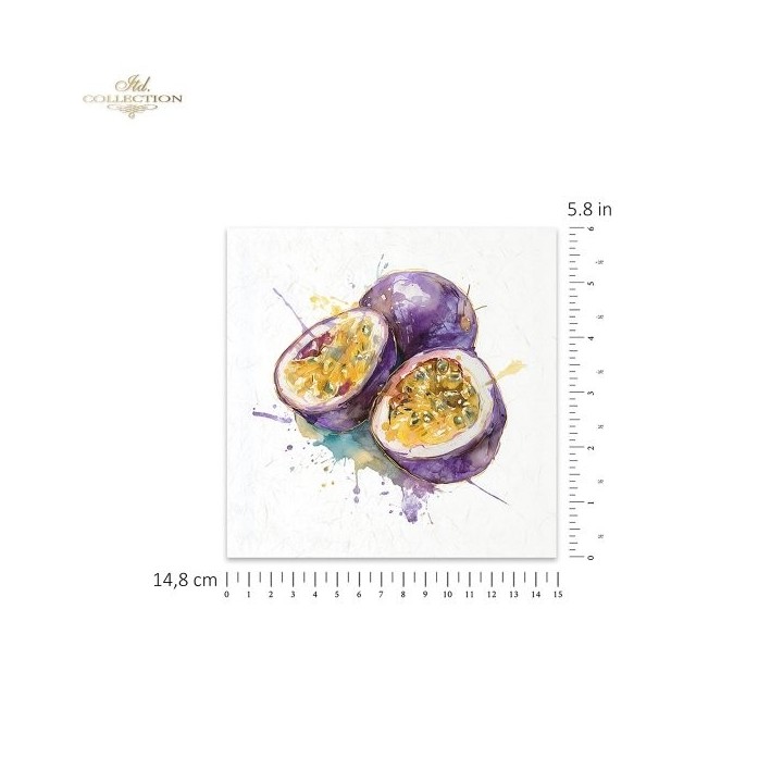 Rijstpapierset RSM266 Tropical Dreams