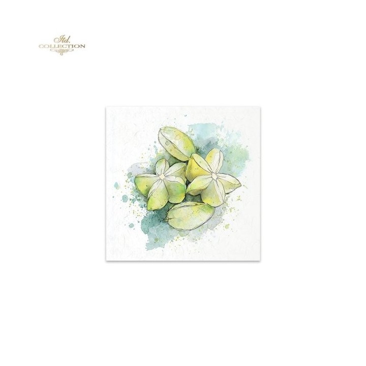 Rijstpapierset RSM267 Tropical Dreams