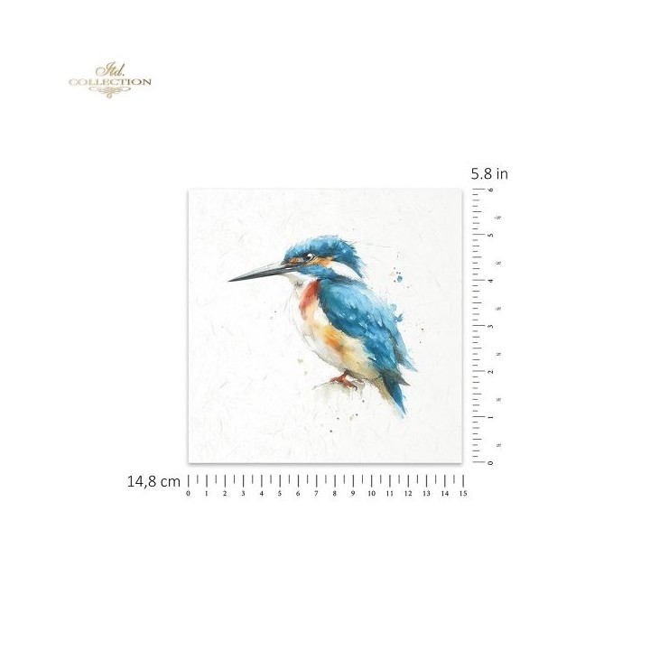 Rijstpapierset RSM268 Tropical Dreams
