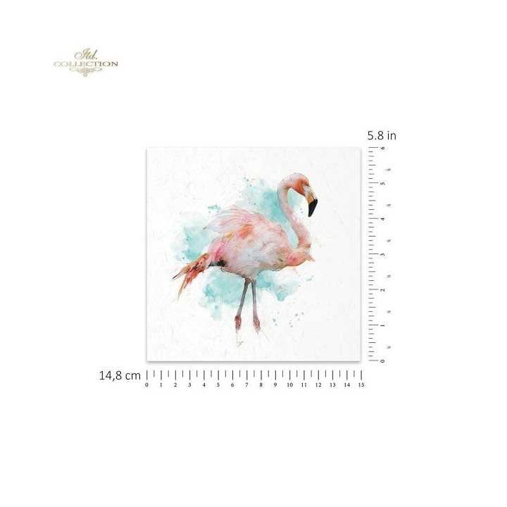 Rijstpapierset RSM269 Tropical Dreams
