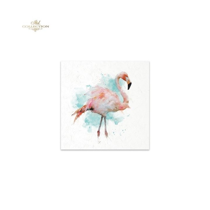 Rijstpapierset RSM269 Tropical Dreams