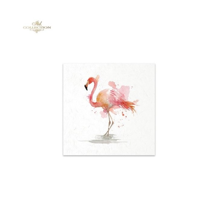 Rijstpapierset RSM269 Tropical Dreams