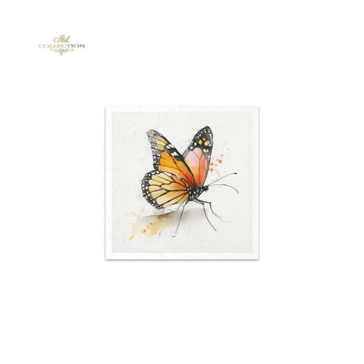 Rijstpapierset RSM270 Tropical Dreams