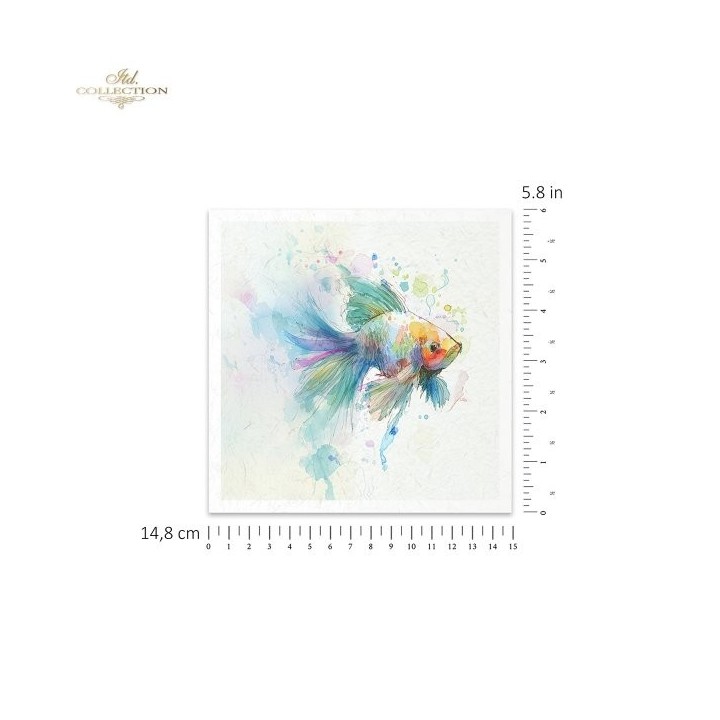 Rijstpapierset RSM271 Tropical Dreams