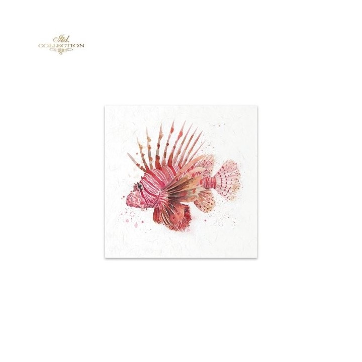 Rijstpapierset RSM272 Tropical Dreams