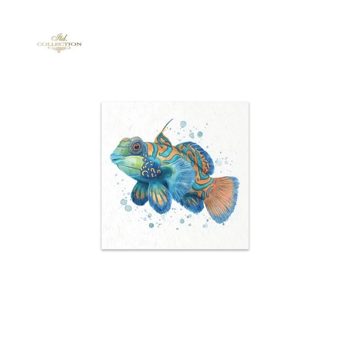 Rijstpapierset RSM272 Tropical Dreams
