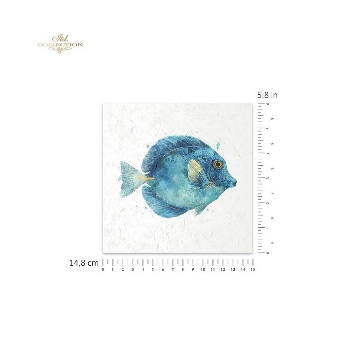 Rijstpapierset RSM273 Tropical Dreams