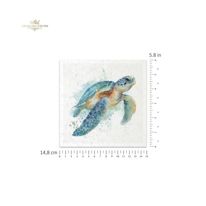 Rijstpapierset RSM281 Tropical Dreams