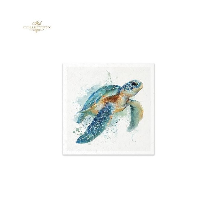 Rijstpapierset RSM281 Tropical Dreams