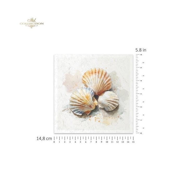 Rijstpapierset RSM282 Tropical Dreams