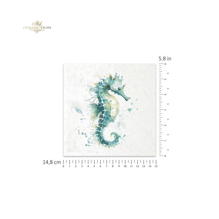 Rijstpapierset RSM283 Tropical Dreams