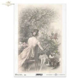 Rijstpapier R0692