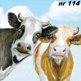 Alma and Bella servet 33x33cm