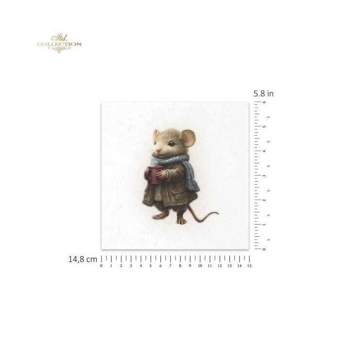 Rijstpapierset RSM211