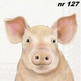 FARM PIG cream servet 33x33cm