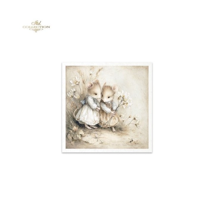 Rijstpapierset RSM236