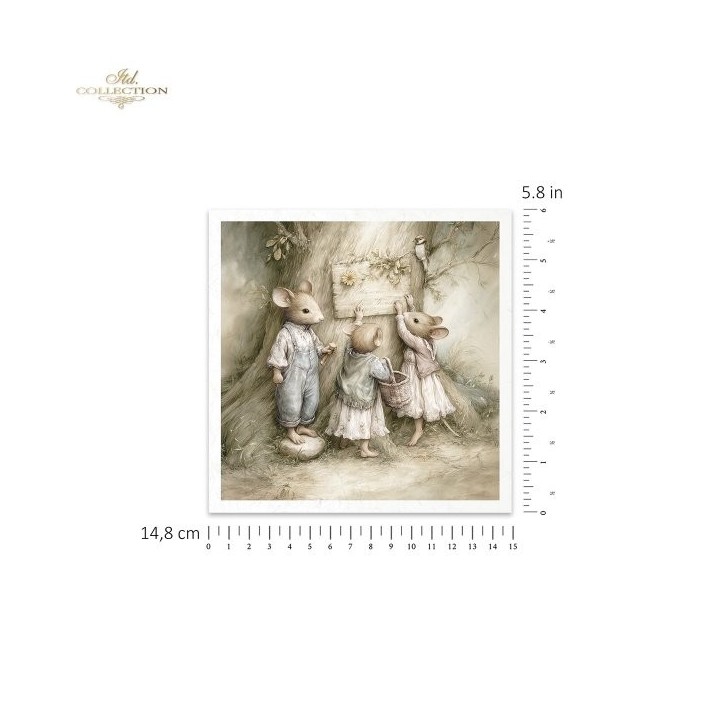 Rijstpapierset RSM237