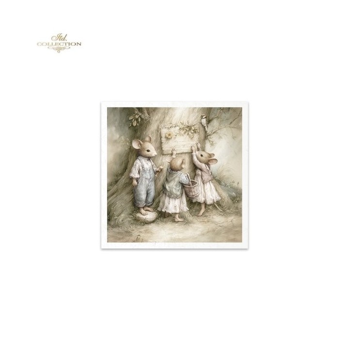 Rijstpapierset RSM237