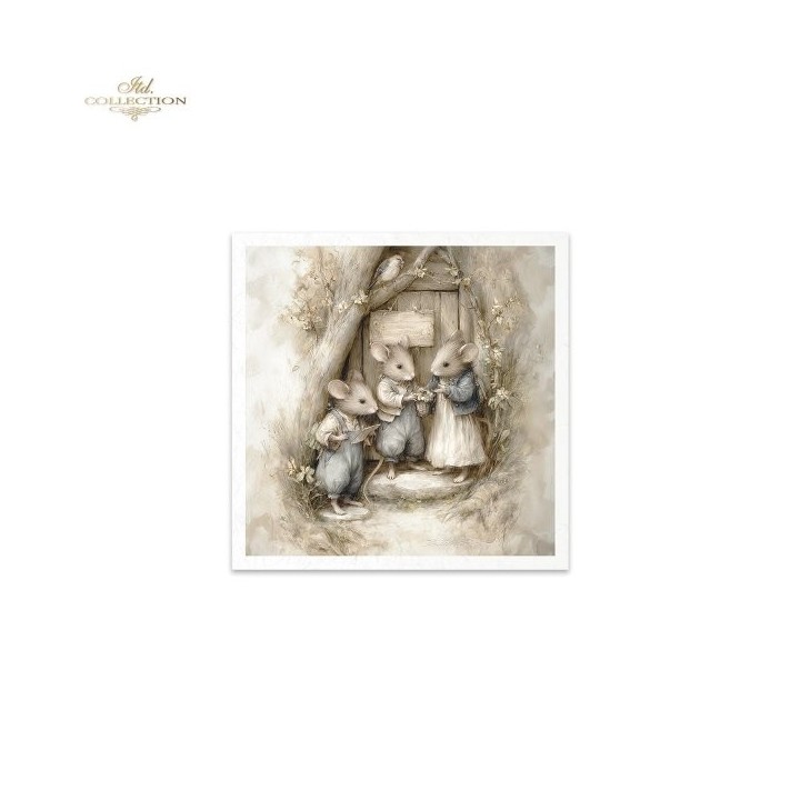 Rijstpapierset RSM237